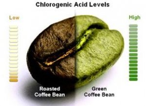 green coffee indonesia